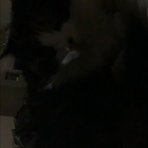 Meet your Posher, Elaine